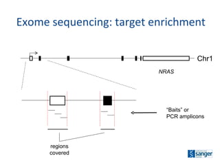Exome sequencing: target enrichment Chr1 NRAS regions covered “ Baits” or  PCR amplicons 