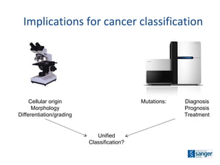 Implications for cancer classification Cellular origin Morphology Differentiation/grading Mutations: Diagnosis Prognosis Treatment Unified Classification? 