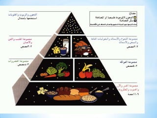 Dr hany the food pyramid الهرم الغذائي