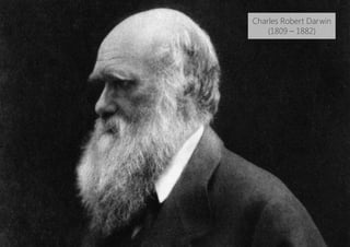 Charles Robert Darwin
(1809 – 1882)
 