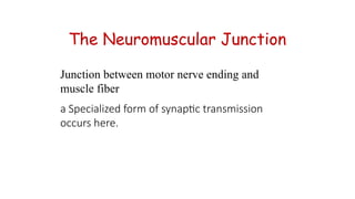 Comprehensive Overview of Neuromuscular Transmission and Disorders | PPTX