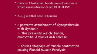 Comprehensive Overview of Neuromuscular Transmission and Disorders | PPTX