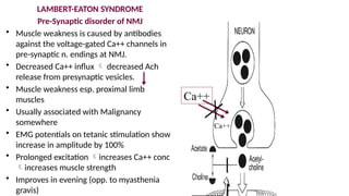 Comprehensive Overview of Neuromuscular Transmission and Disorders | PPTX