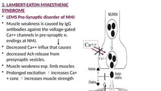 Comprehensive Overview of Neuromuscular Transmission and Disorders | PPTX