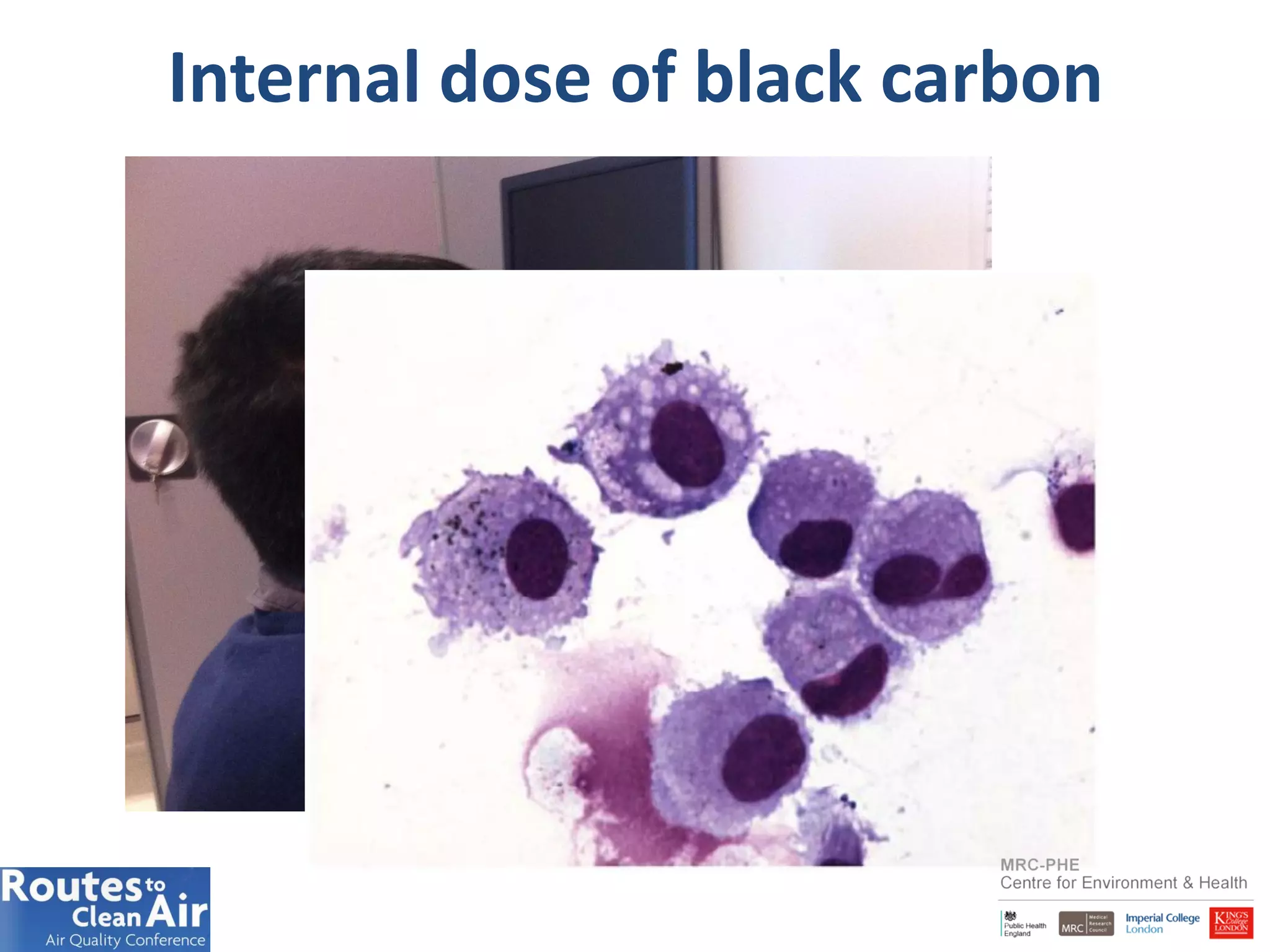 Internal dose of black carbon
 
