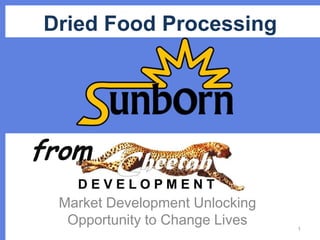 Dried Food Processing

from
Market Development Unlocking
Opportunity to Change Lives

1

 