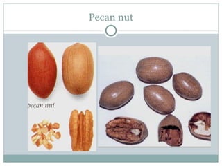 Pecan nut 