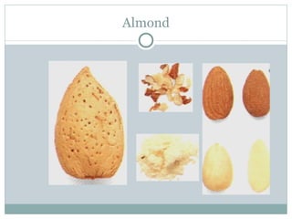 Almond 