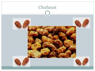 Chufanut 
