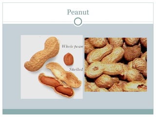 Peanut 