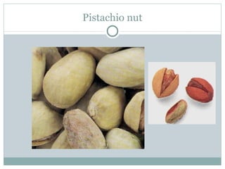 Pistachio nut 