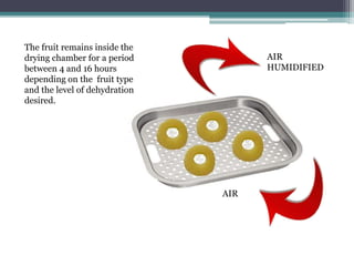 The fruit remains inside the
drying chamber for a period
between 4 and 16 hours
depending on the fruit type
and the level of dehydration
desired.
AIR
AIR
HUMIDIFIED
 