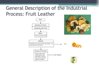 General Description of the Industrial
Process: Fruit Leather
 