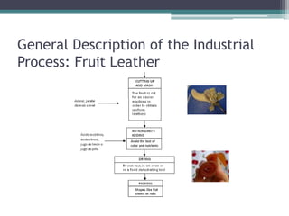 General Description of the Industrial
Process: Fruit Leather
 