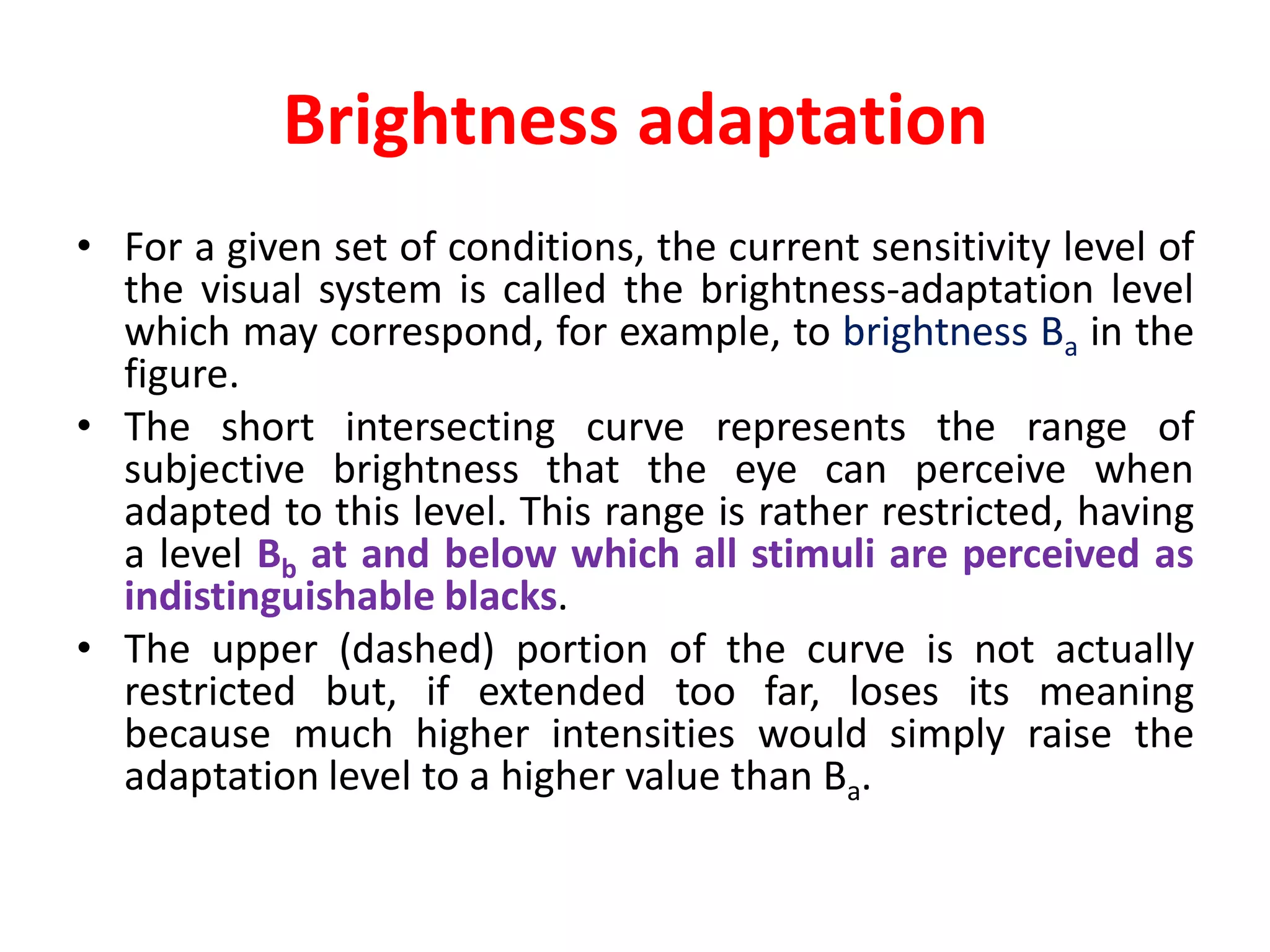 Elements of visual perception | PDF