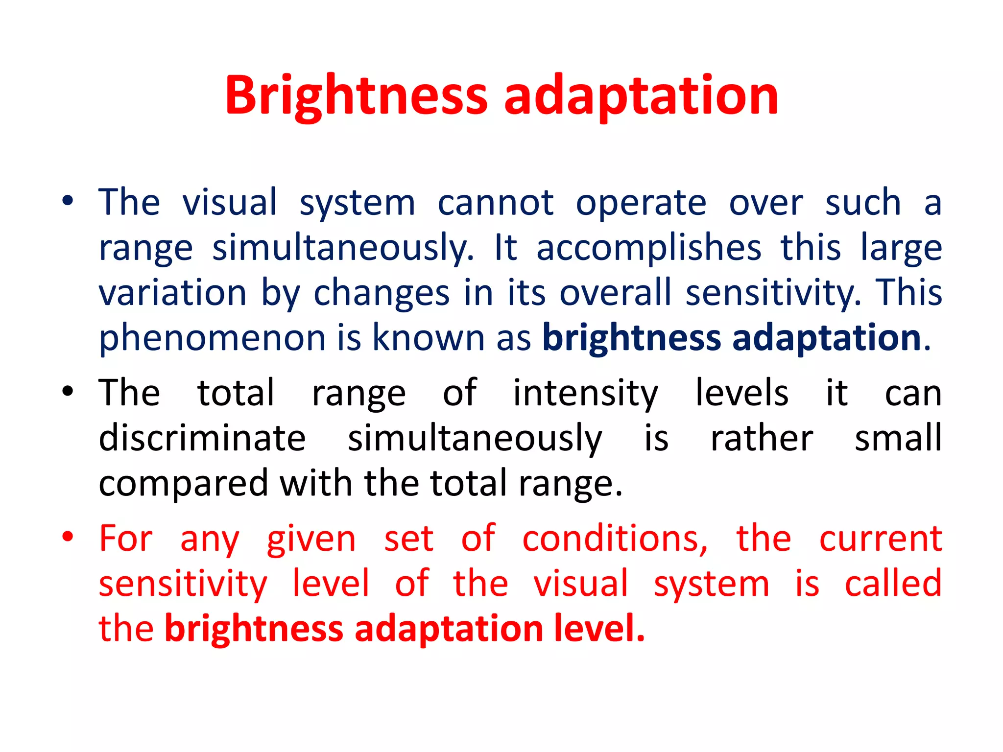 Elements of visual perception | PDF