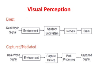 Elements of visual perception | PDF | Eye and Vision Conditions ...