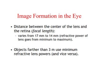 Elements of visual perception | PDF