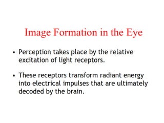 Elements of visual perception | PDF