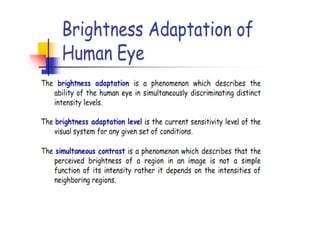 Elements of visual perception | PDF