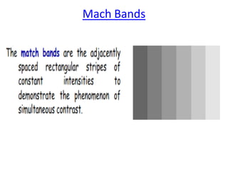 Mach Bands Examples Elements of visual perception | PDF