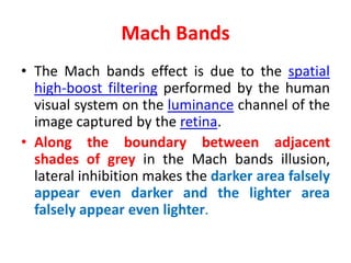 Mach Bands Examples Elements of visual perception | PDF