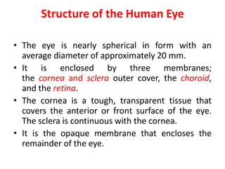 Elements of visual perception | PDF