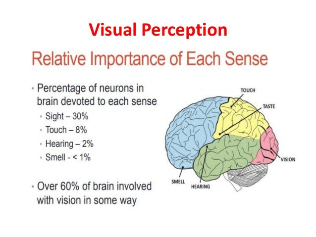 Elements of visual perception
