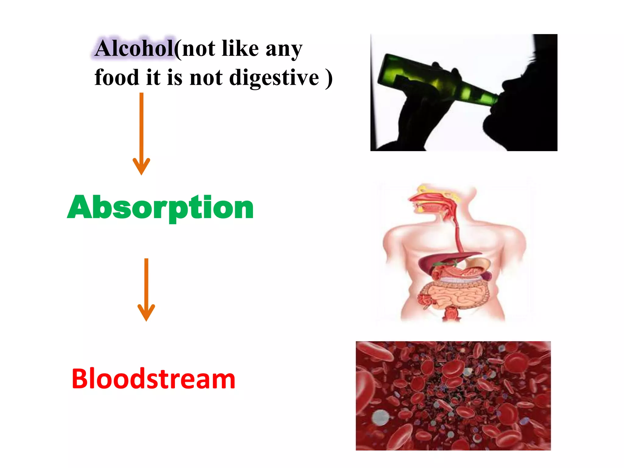 Alcohol(not like any
food it is not digestive )

Absorption

Bloodstream

 