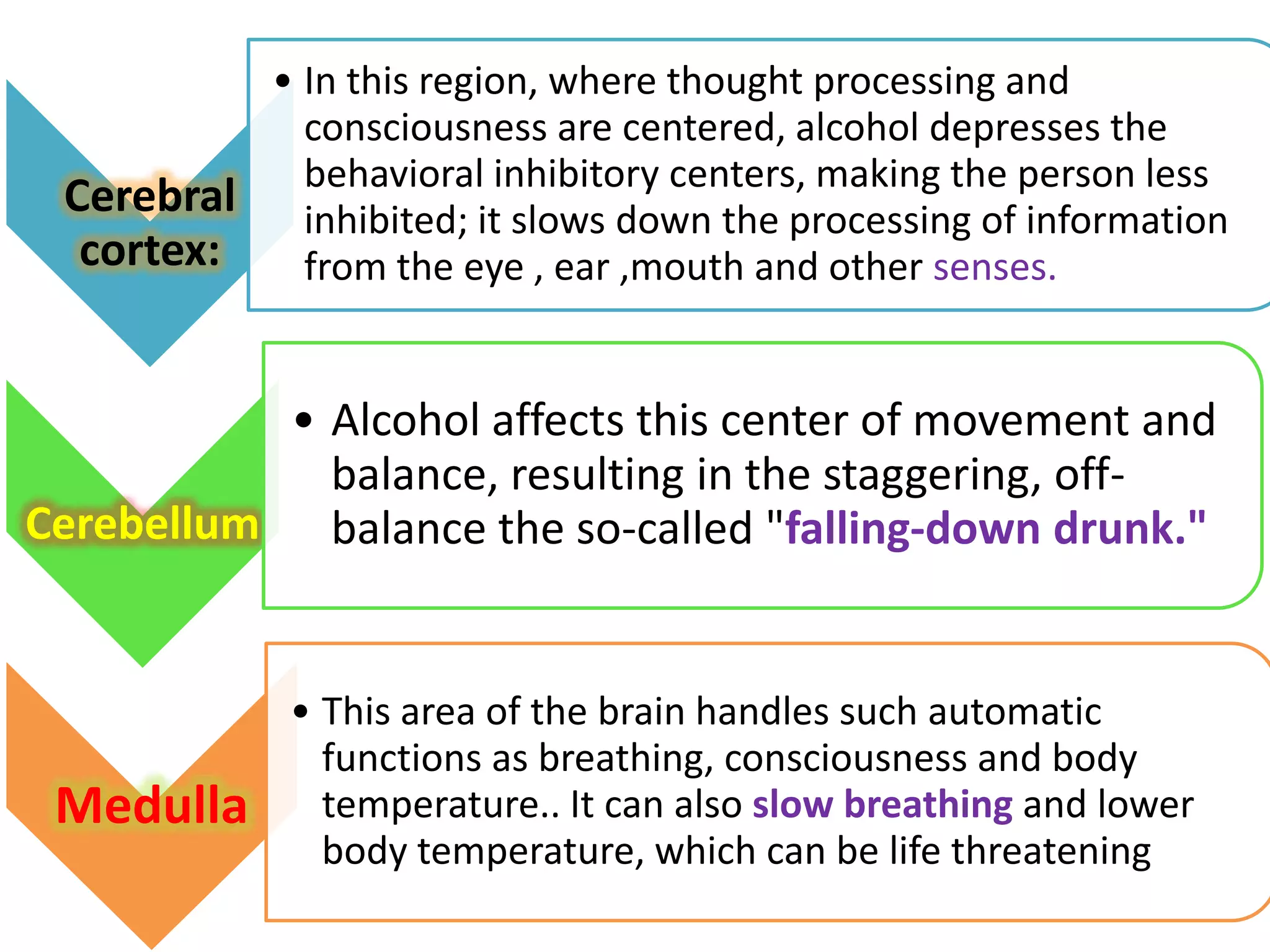 • In this region, where thought processing and
consciousness are centered, alcohol depresses the
Cerebral behavioralitinhibitory centers, making the person less
inhibited; slows down the processing of information
cortex:
from the eye , ear ,mouth and other senses.

• Alcohol affects this center of movement and
balance, resulting in the staggering, offCerebellum balance the so-called "falling-down drunk."

Medulla

• This area of the brain handles such automatic
functions as breathing, consciousness and body
temperature.. It can also slow breathing and lower
body temperature, which can be life threatening

 