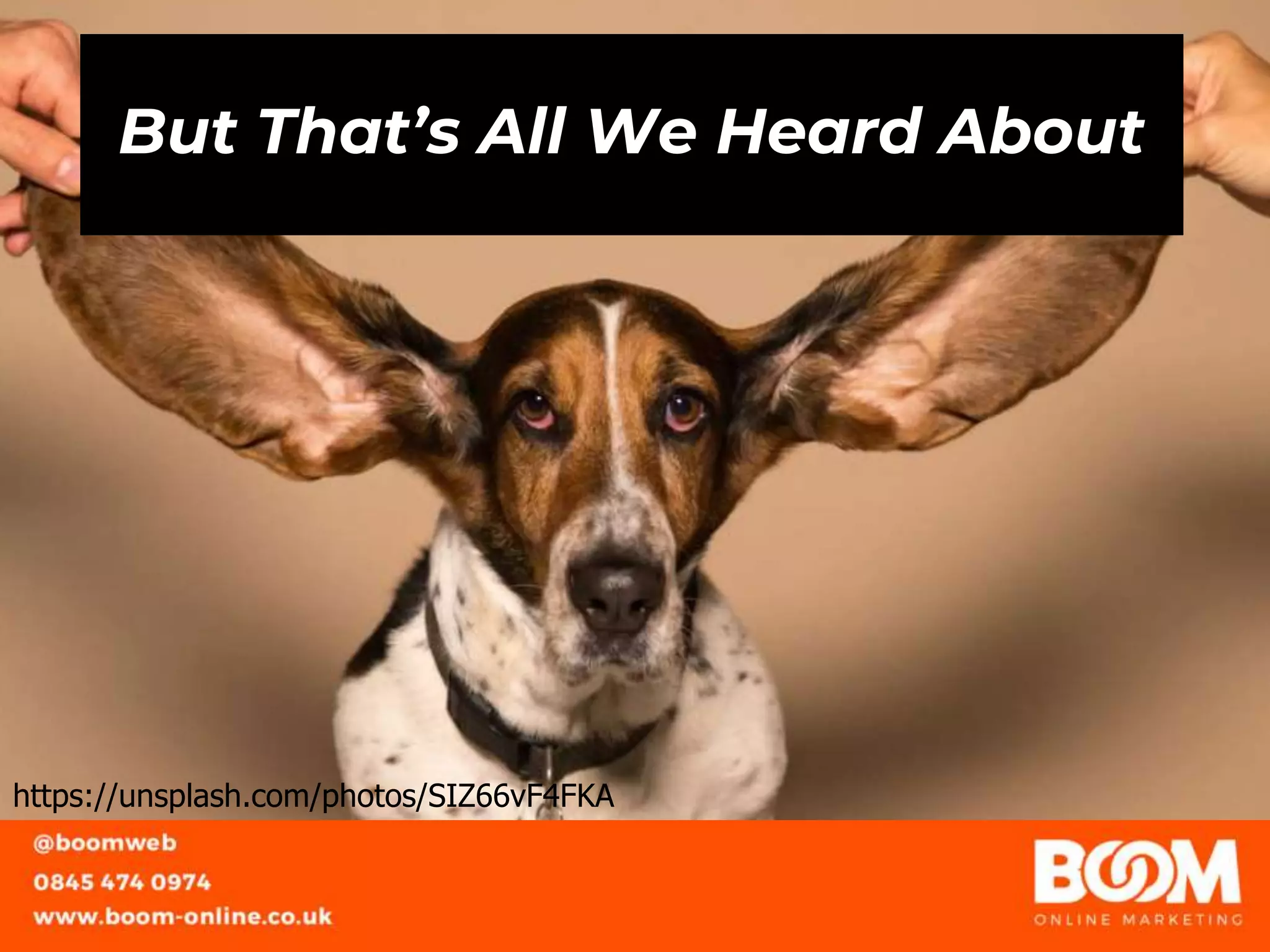 But That’s All We Heard About
https://unsplash.com/photos/SIZ66vF4FKA
 