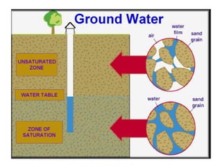 In a new tank Chlorine is added to kill all organisms.