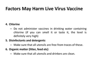 Cont. …
4. Chlorine
– Do not administer vaccines in drinking water containing
chlorine (if you can smell it or taste it, the level is
definitely very high)
5. Disinfectants and detergents
– Make sure that all utensils are free from traces of these.
6. Organic matter (litter, feed etc)
– Make sure that all utensils and drinkers are clean.
 