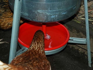 MAJOR CONCERNS IN WATER
VACCINATION
Protecting Virus
Particles in Water
 