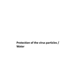 Protecting Virus Particles in Water
Emphasis is always placed on proper:
1. Handling.
2. Storage.
3. Mixing of the vaccine.
But all these efforts can be quickly spoiled by an improperly
maintained water system.
 