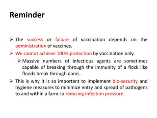 Reminder
 The success or failure of vaccination depends on the
administration of vaccines.
 We cannot achieve 100% protection by vaccination only.
Massive exposure to infectious agents are sometimes
capable of breaking through the immunity of a flock like
floods break through dams.
 This is why it is so important to implement bio-security and
hygiene measures to minimize entry and spread of pathogens
to and within a farm so reducing infection pressure.
 