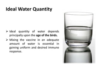 3- Water Withholding Time
 As a general guideline, all vaccinated water should be
consumed within 2- 3 hours.
 To facilitate this, water has to be withheld from the birds for a
period of time prior to vaccination.
– The length of time depends on several factors such as:
1. Type and age of birds
2. Climatic conditions.
 Trial results suggest that the ideal length of water-withdrawal
for vaccination of broilers is 1:1.5 hours.
 