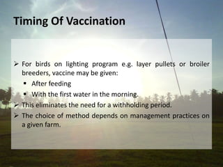 Cont. …
 Depending on the type of drinker system, up to
10% of the vaccinated water can remain in the
dead spaces of the system and remain
unavailable to the birds
 In certain types of header tank there is residual
water under the level of the outlet pipe. This
means there is always some vaccine left in the
tank once vaccination is finished.
 It is important that extra vaccine is added to allow
for this.
 