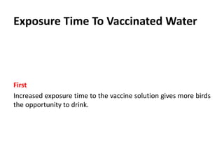 1- Preparation
One Or Two Days Before Vaccination
Preparation on the level of;
1. Vaccine
2. Birds
3. Drinking Water
4. Water lines
5. Utensils
 