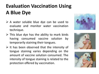 Cont. …
5. Utensils
 Prepare clean utensils (measuring jug, stirrer, bucket,
watering can, scale etc.).
 Wash troughs or bell drinkers with clear water without any
disinfectant or sanitizers.
 Ensure adequate amount of skimmed milk powder or liquid
skimmed milk are available. If you use a proportioner, a
separate proportioner should be used for vaccination only.
 