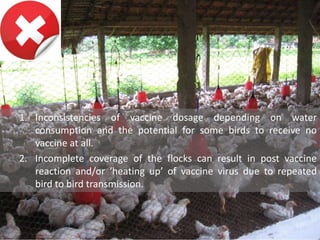 1. Inconsistencies of vaccine dosage depending on water
consumption and the potential for some birds to receive no
vaccine at all.
2. Incomplete coverage of the flocks can result in post vaccine
reaction and/or ‘heating up’ of vaccine virus due to repeated
bird to bird transmission.
 