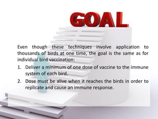 Even though these techniques involve application to
thousands of birds at one time, the goal is the same as for
individual bird vaccination:
1. Deliver a minimum of one dose of vaccine to the immune
system of each bird.
2. Dose must be alive when it reaches the birds in order to
replicate and cause an immune response.
 