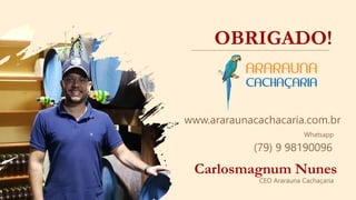 OBRIGADO!
Carlosmagnum Nunes
www.araraunacachacaria.com.br
Whatsapp
(79) 9 98190096
CEO Ararauna Cachaçaria
 