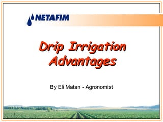 Drip IrrigationDrip Irrigation
AdvantagesAdvantages
By Eli Matan - Agronomist
1
 