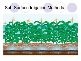 Drip irrigation | PPTX