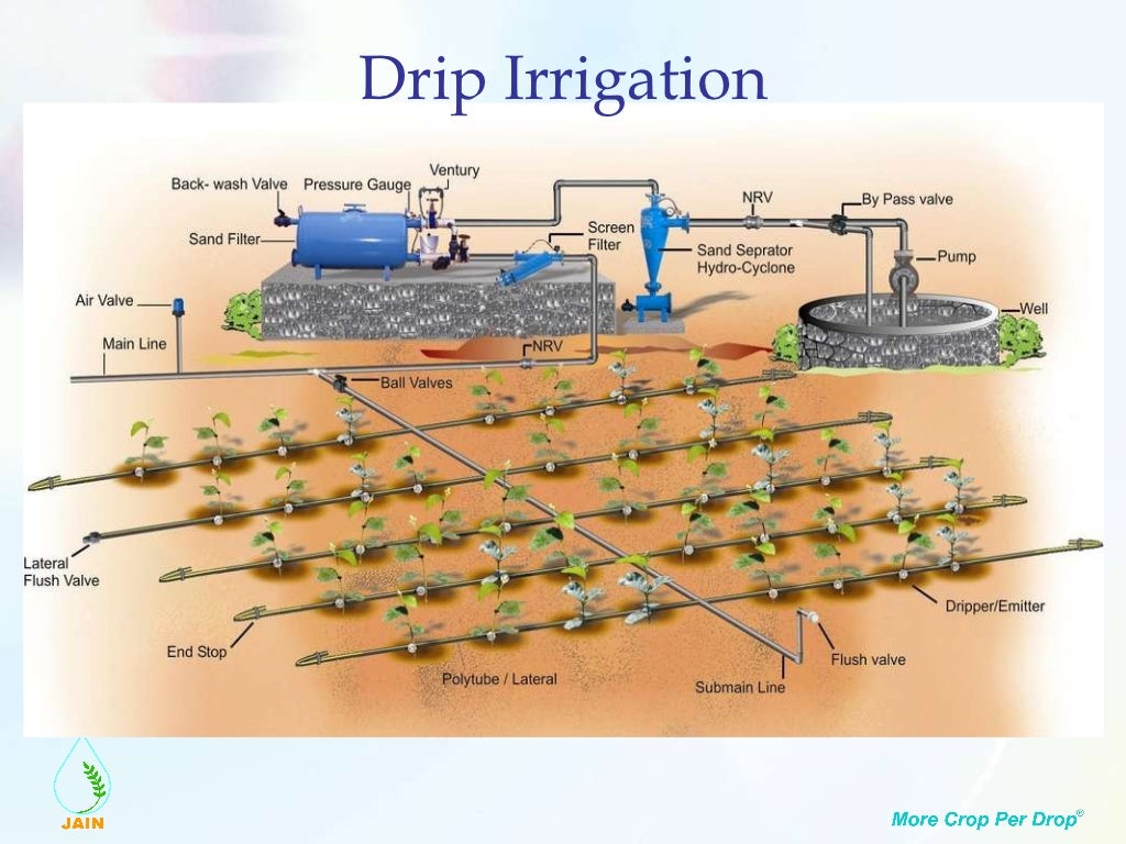 Drip irrigation