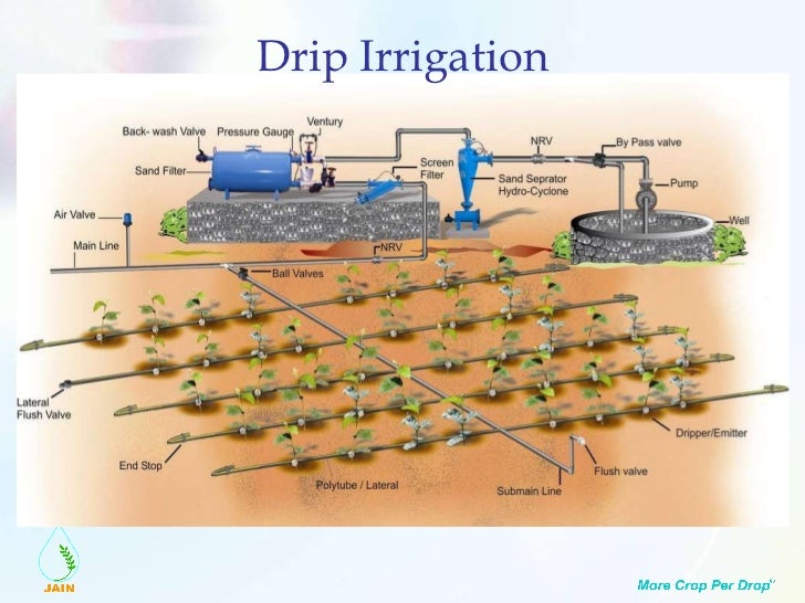 drip irrigation diagram drip irrigation drip irrigation diagram drip irrigation