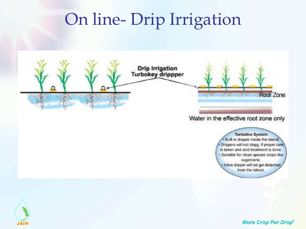 Drip irrigation