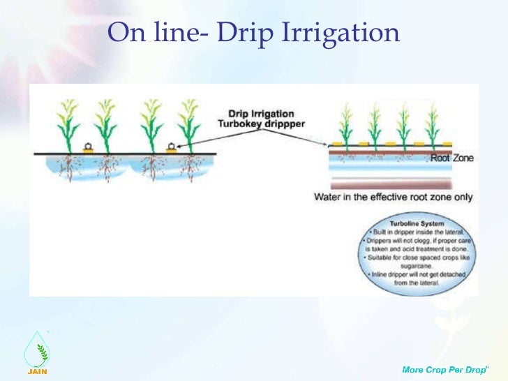 drip irrigation drip irrigation