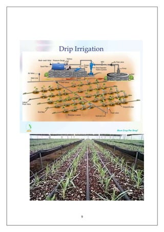 REPORT FILE ON DRIP IRRIGATION | PDF
